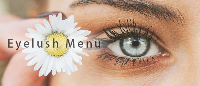 アイラッシュメニューイメージ画像